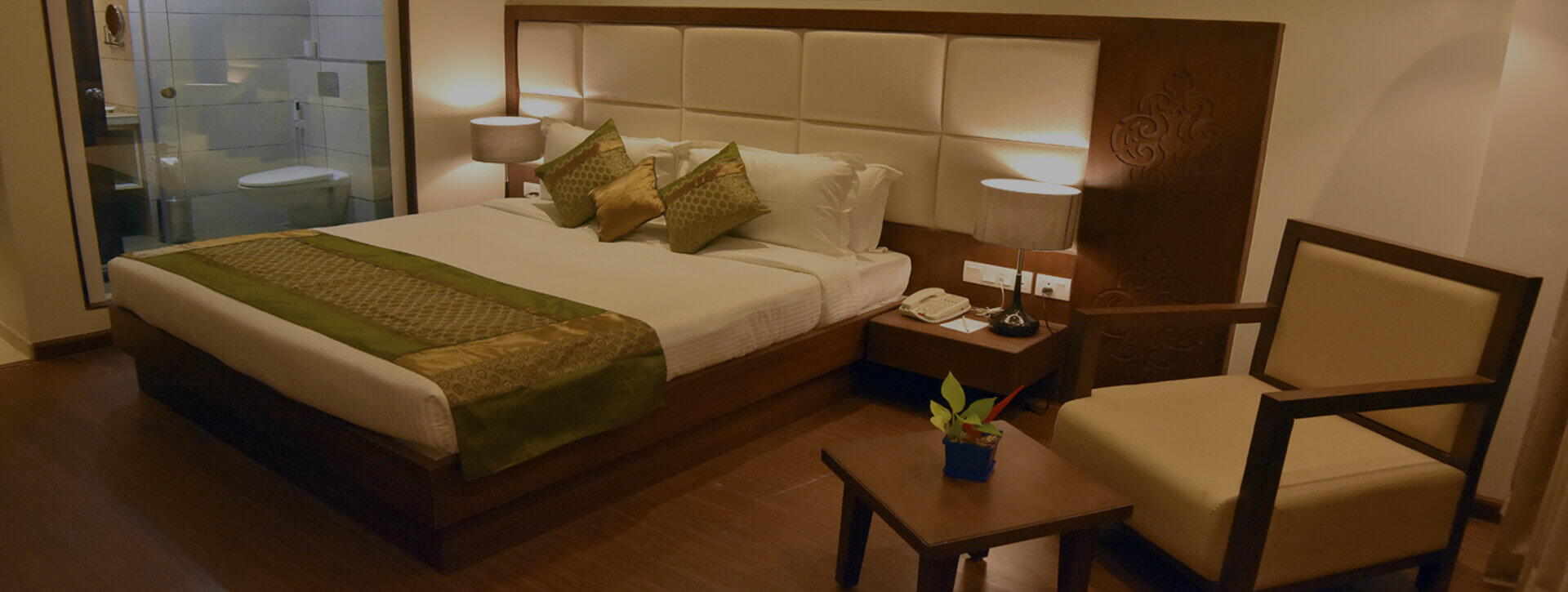 Luxury Hotels in Vadodara